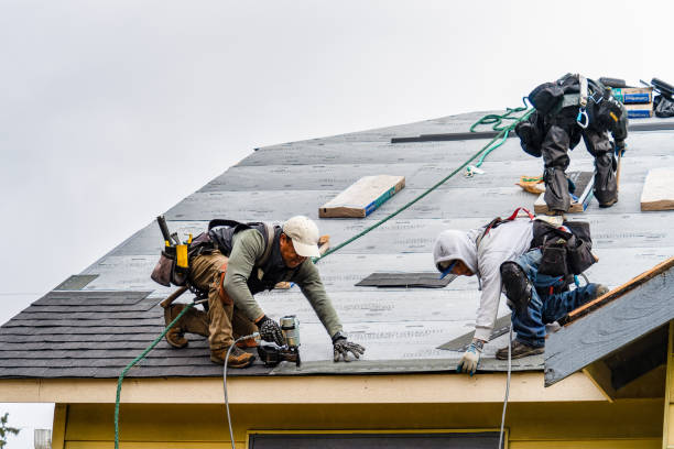 Professional Roofing technician working in Lucas, IA